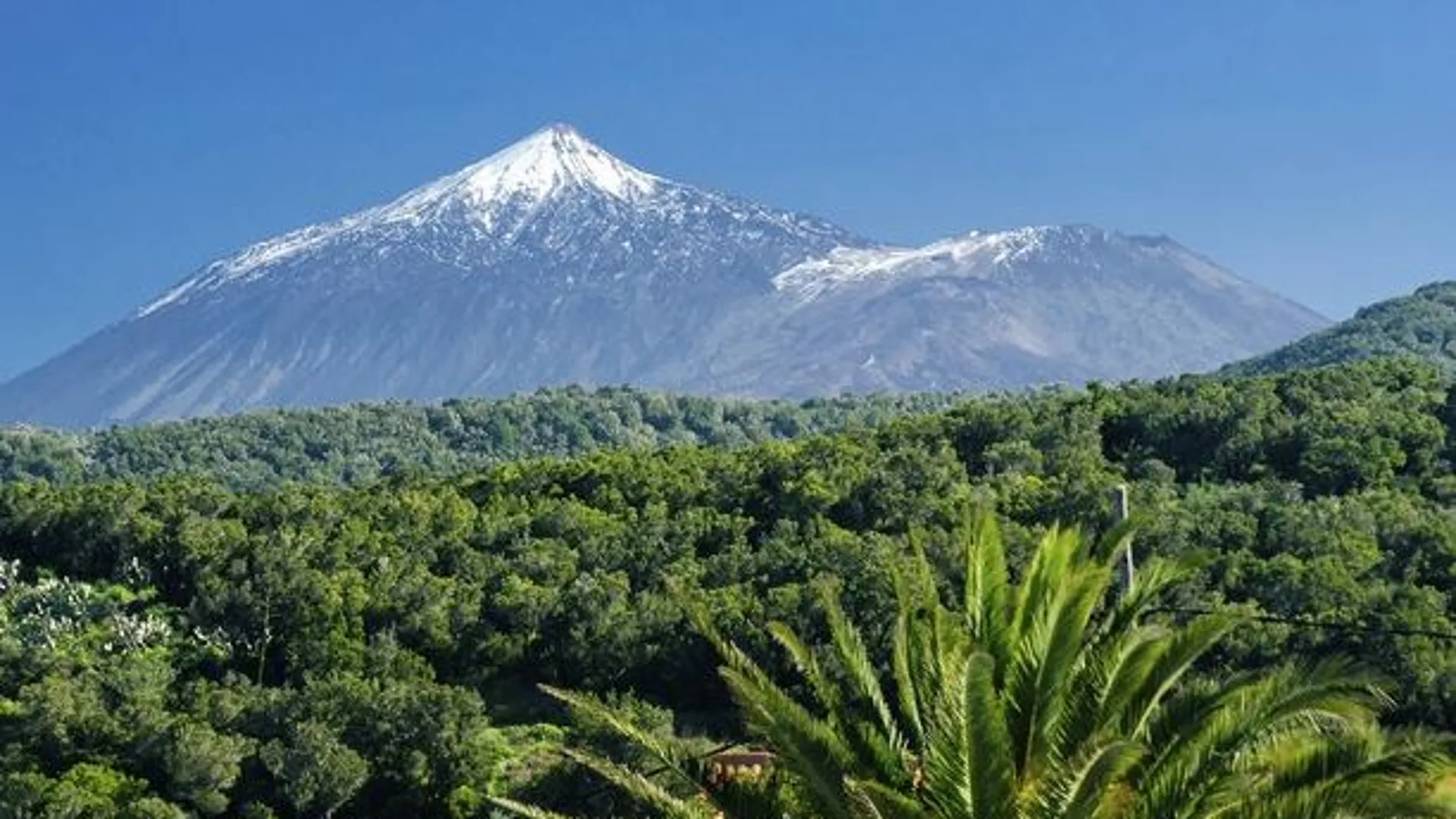 Los mejores hoteles para disfrutar con los niños este verano