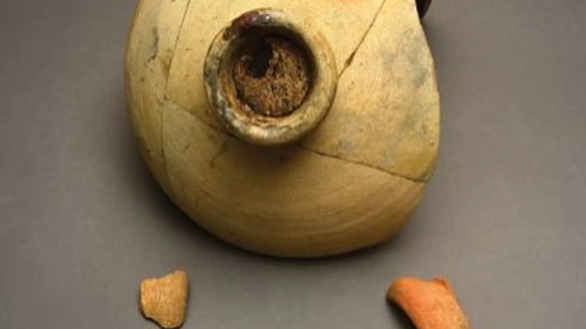 Fragmentos del cuello de una vasija de aceite de estilo español de mediados del XVI