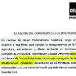 La trampa de la oposición: controlar al Gobierno por actuaciones pasadas