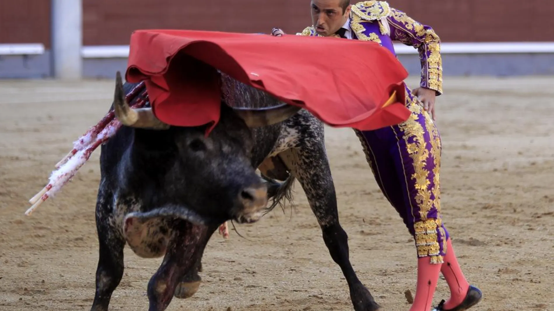 Pase de pecho de Javier Castaño en Las Ventas