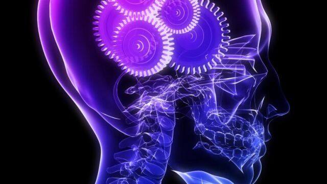 Las cerebrovasculares siguen situándose como las más mortales causando el 23% del total de defunciones cardiovasculares