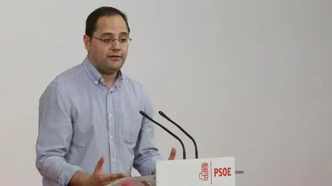 El secretario de Organización del PSOE, César Luena