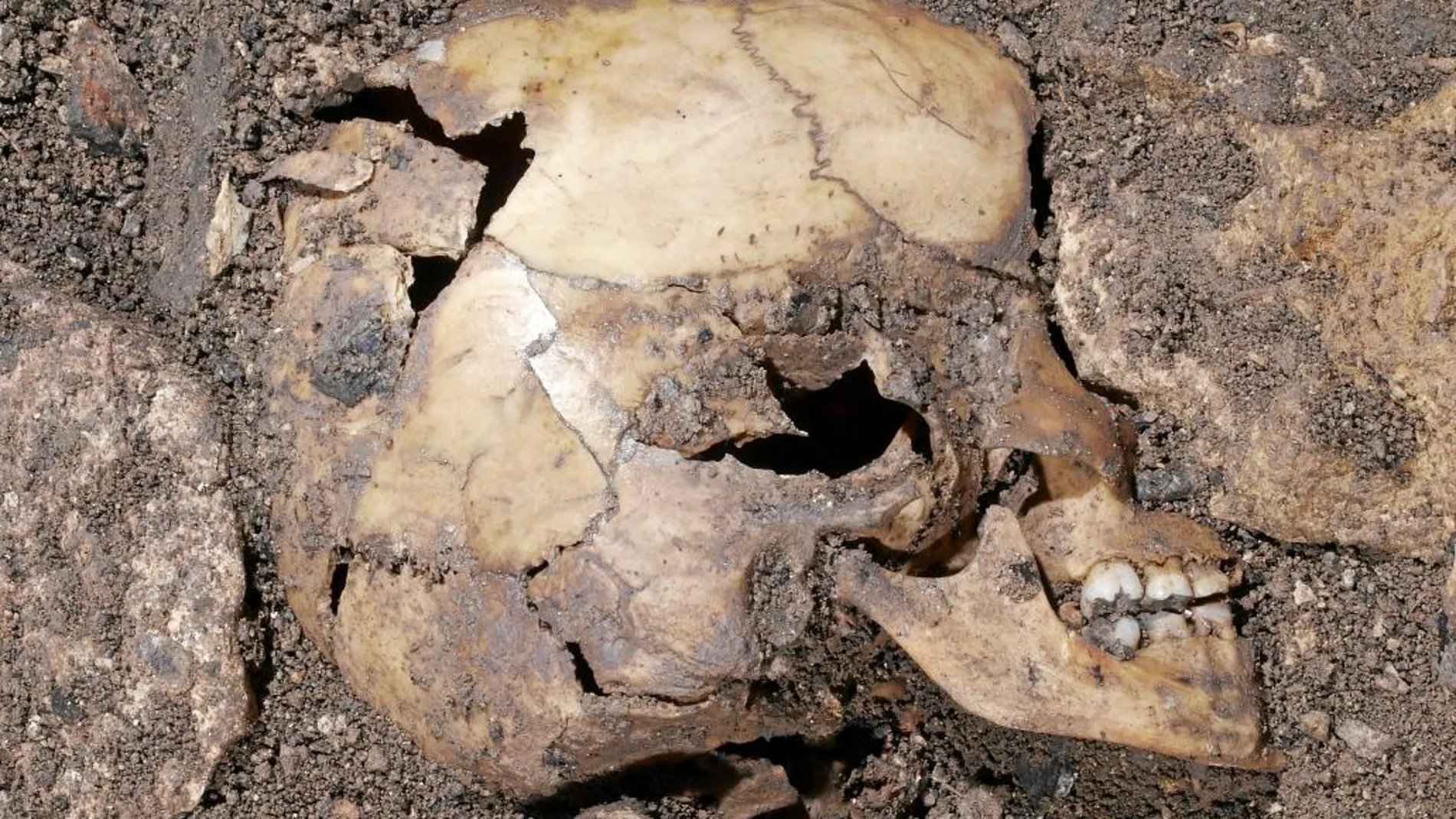 Restos arqueológicos hallados en la Cueva del Portalón