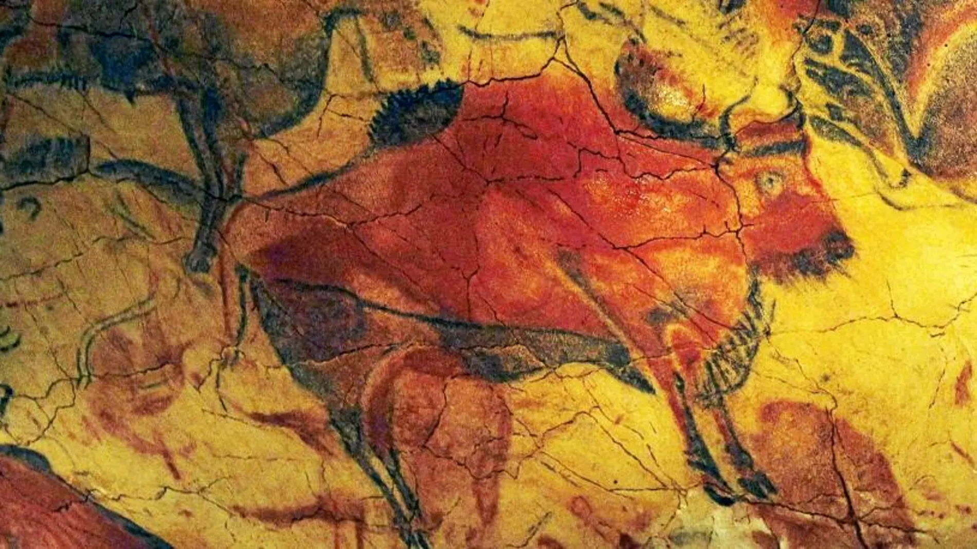 Bisontes de la cueva de Altamira, conocida como la «Capilla Sixtina» del arte rupestre