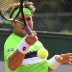 El tenista español David Ferrer devuelve la pelota al estadounidense Donald Young durante el partido de primera ronda de Roland Garros