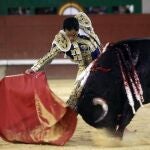 Luis Bolívar templó la embestida del bravo de Cuadri