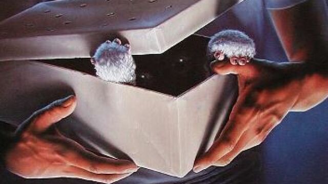 El cartel de Gremlins, la película de Spielberg
