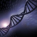 El 56% de la población porta mutaciones genéticas que causan enfermedades hereditarias