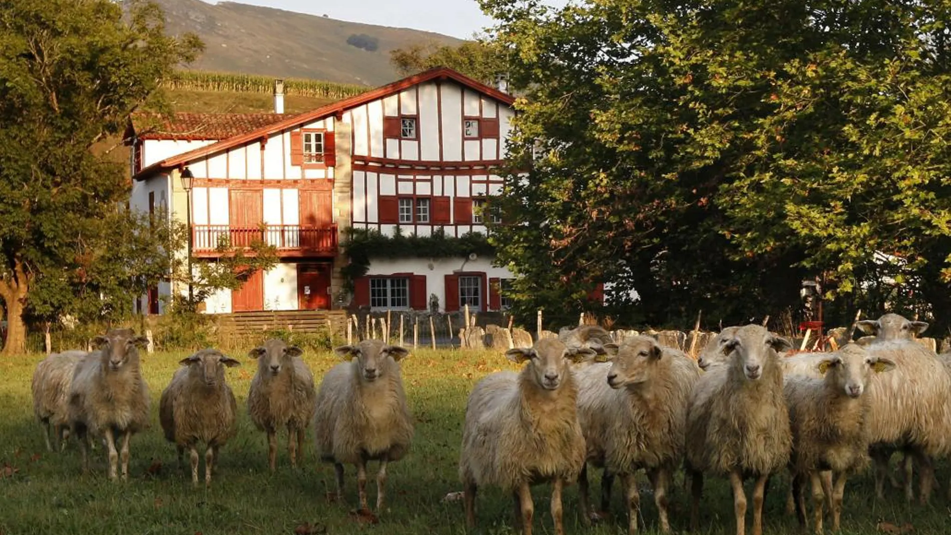 Arriba, detalle de un alojamiento rural en la provincia de Navarra. A la izquierda, mapa con la media de ocupación durante los meses de julio y agosto, según el portal Escapadarural.com