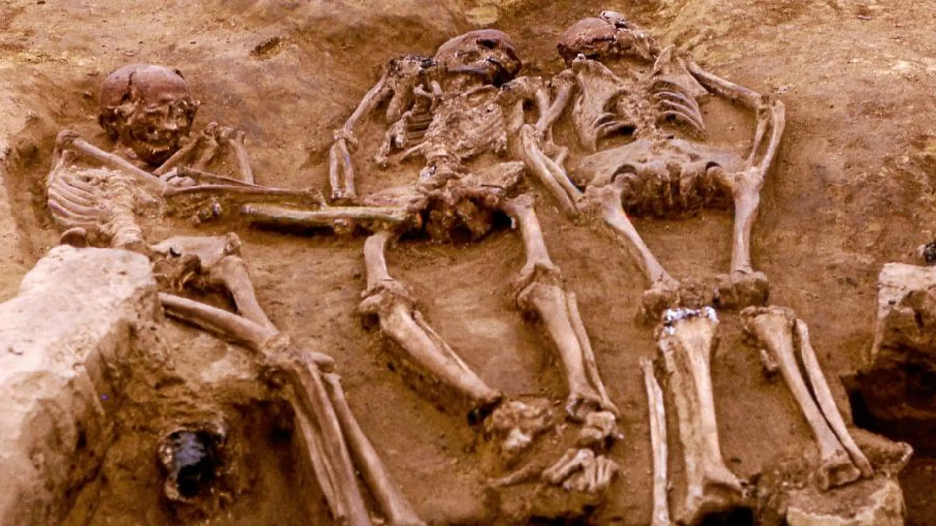 Restos de tres individuos hallados en la tumba de Dolní Vestonice (República Checa). Se trata de los individuos más antiguos pertenecientes a los grupos U5 y U8. Murieron jóvenes hace unos 31.000 años