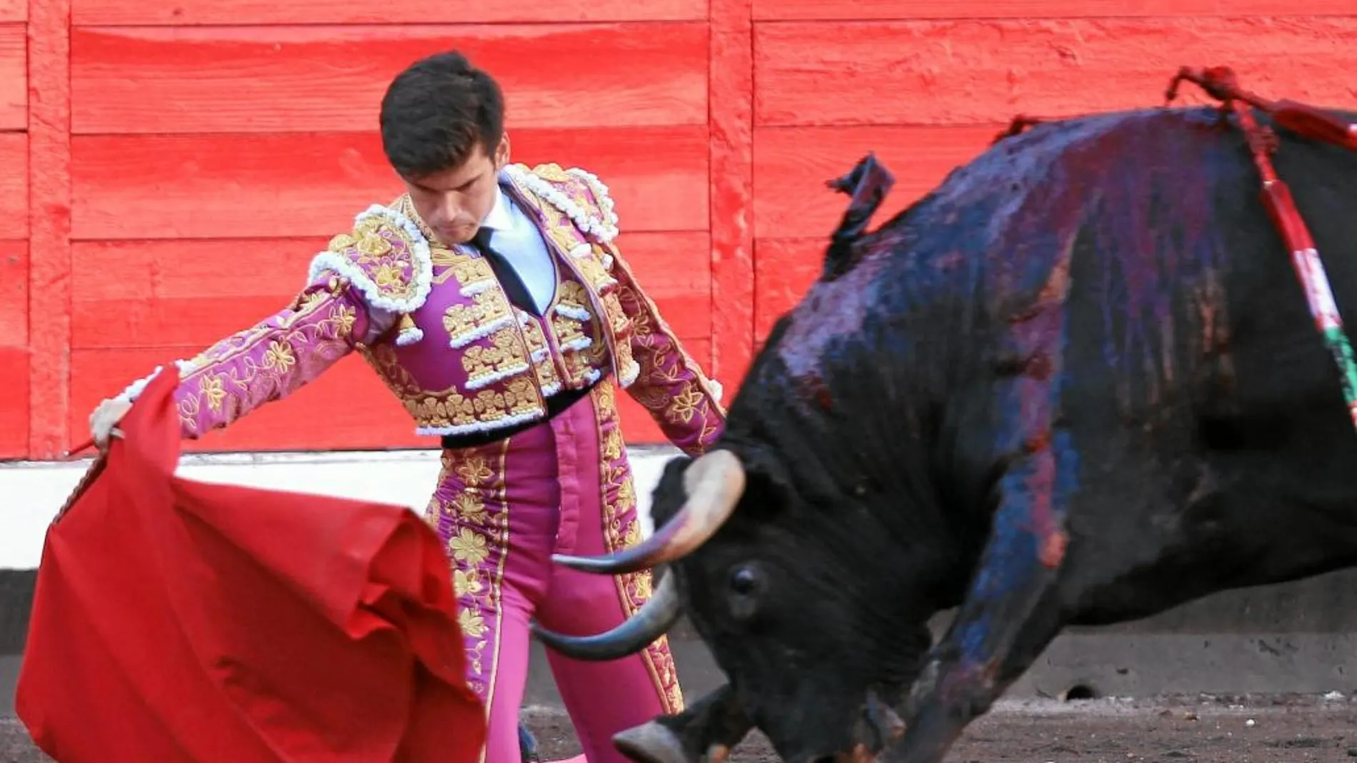 Derechazo de rodillas de José Garrido a su primer toro en la plaza de toros de Vista Alegre