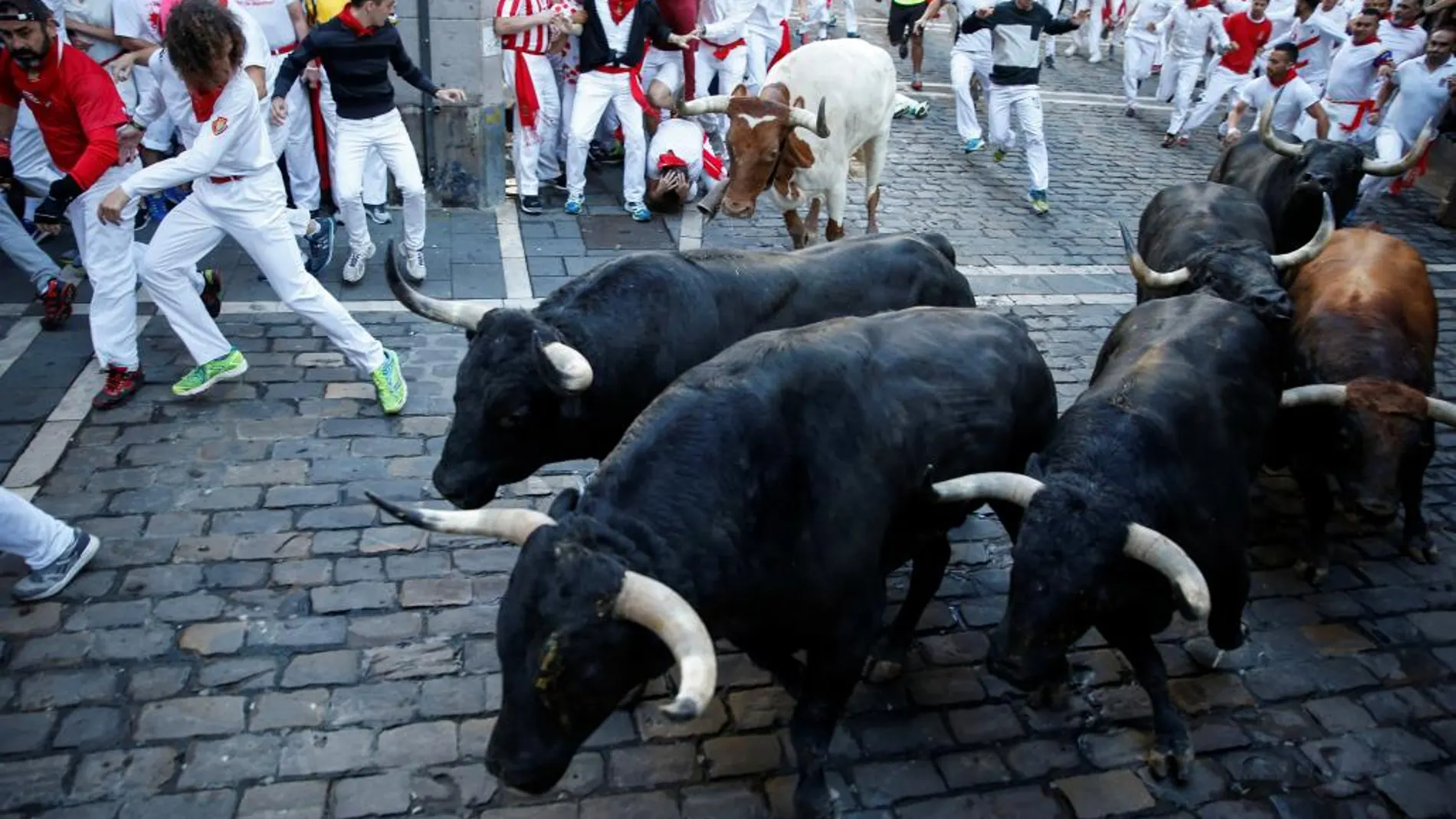 La velocidad de los toros ha ocasionado múltiples pisotones y caídas de los mozos