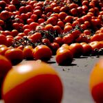 El tomate puede prevenir hasta un 59% el riesgo de ictus