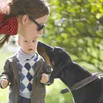  El cariño y los besos caninos podrían ser beneficiosos