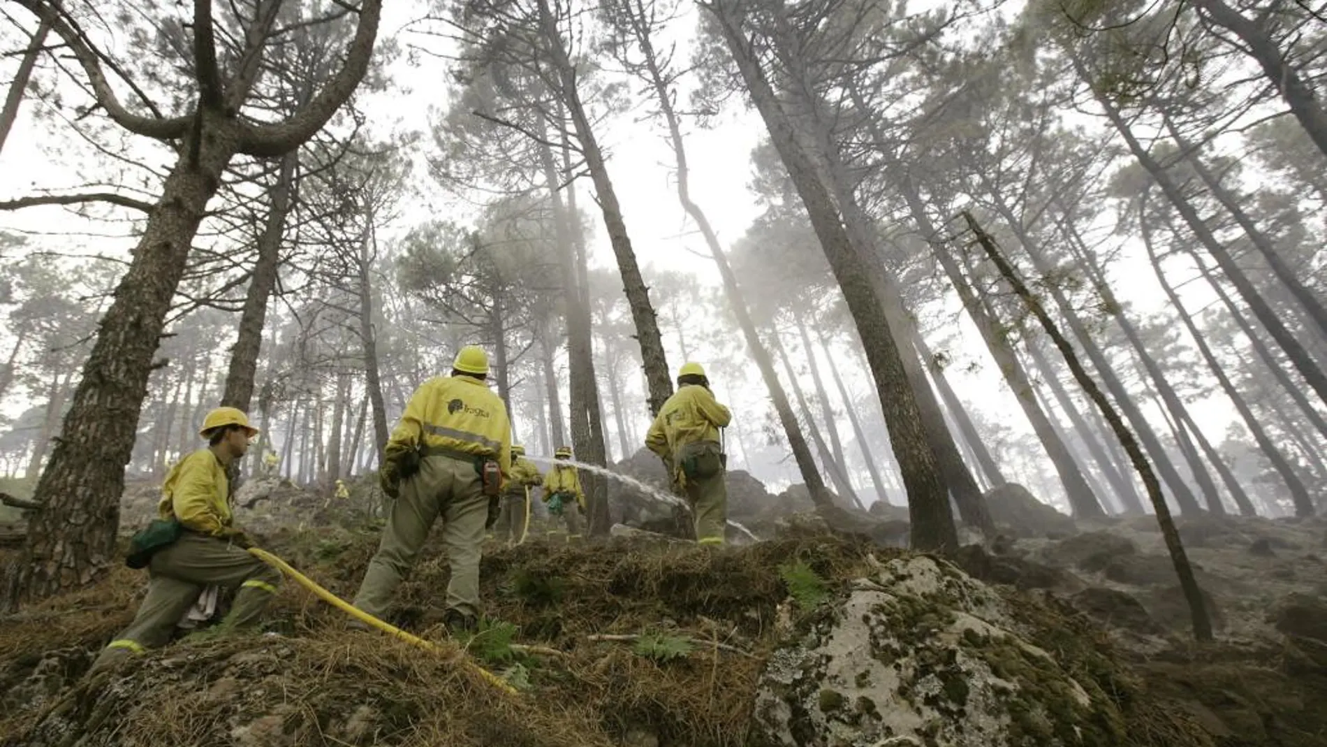 El cambio climático traerá grandes incendios en bosques de EEUU y Europa