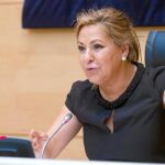 La vicepresidenta de la Junta, Rosa Valdeón, presenta las medidas aprobadas en el Consejo de Gobierno