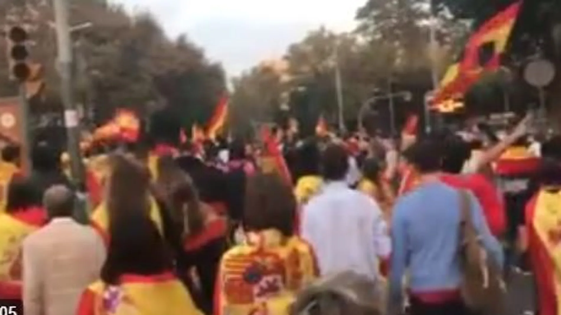 Centenares de jóvenes con banderas españolas se manifiestan contra la independencia