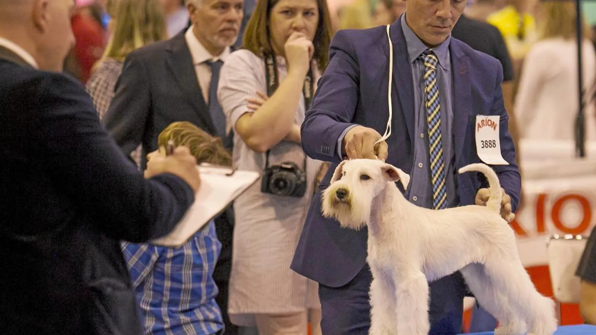 La feria es el escaparate más completo de productos y servicios para animales de compañía