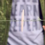 La sencilla herramienta para detectar la malaria