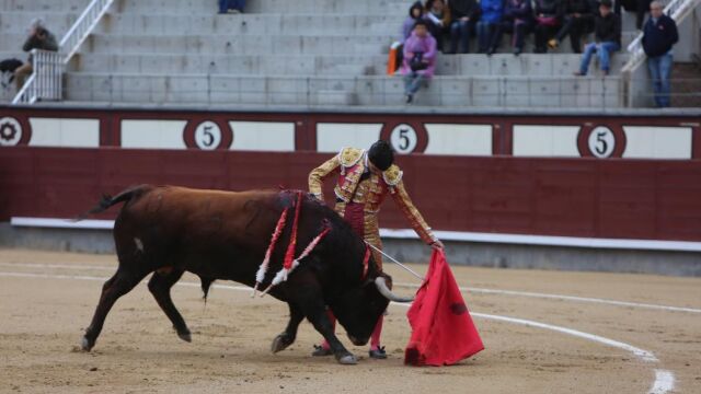Pablo Aguado, al natural en Madrid