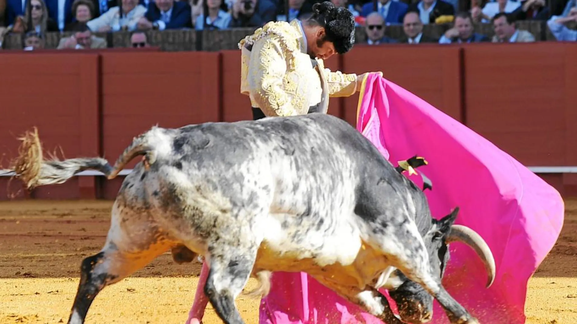 Morante, toreando ayer a la verónica