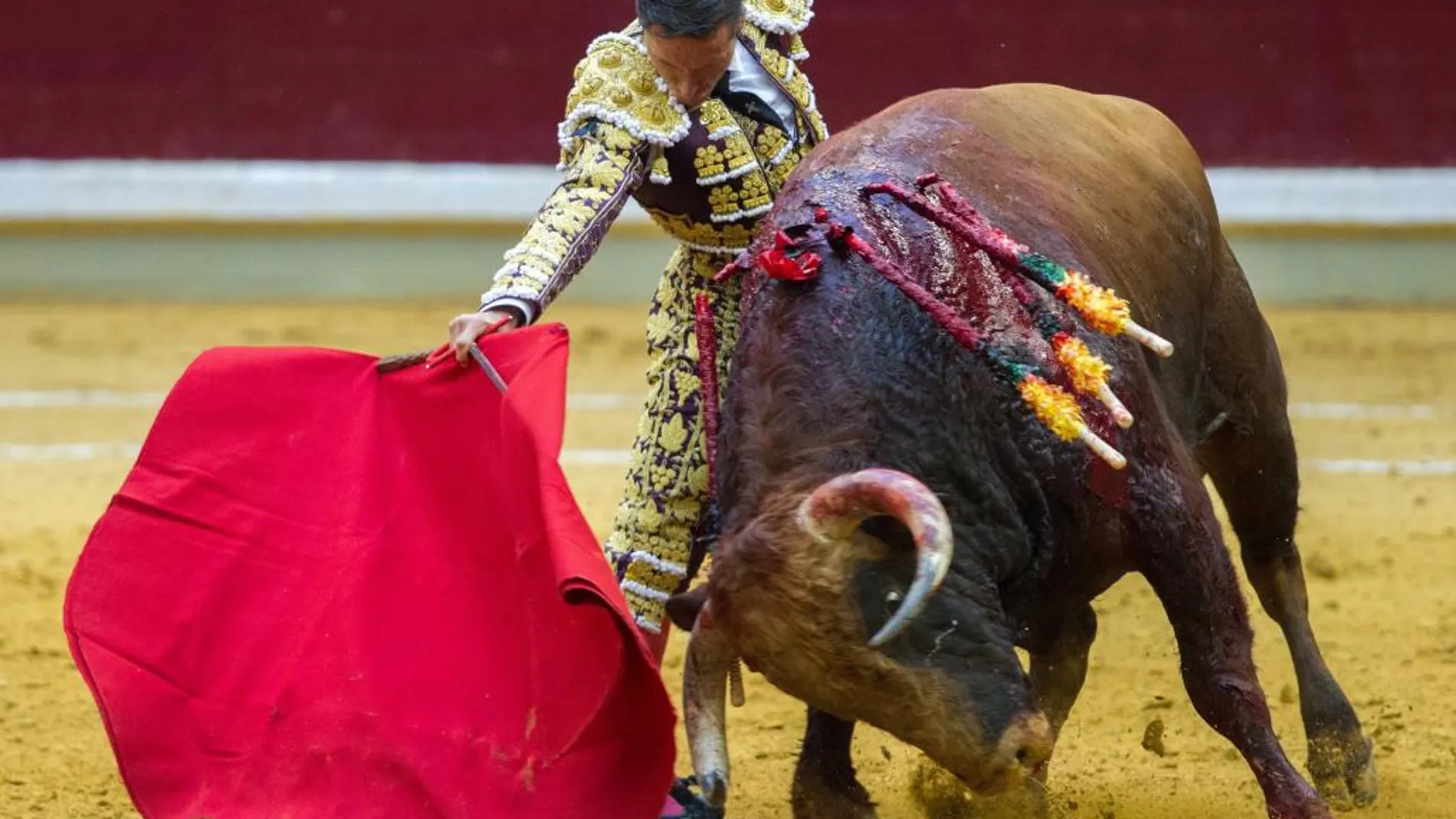 El torero Diego Urdiales con el cuarto de la tarde, al que le cortó una oreja, en la cuarta corrida de la Feria de San Mateo de Logroño