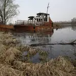  Chernóbil tiene animales salvajes 30 años después del desastre