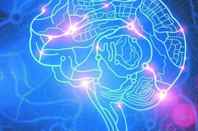 Conocer las técnicas de la Neurociencia contribuye a realizar una venta con éxito