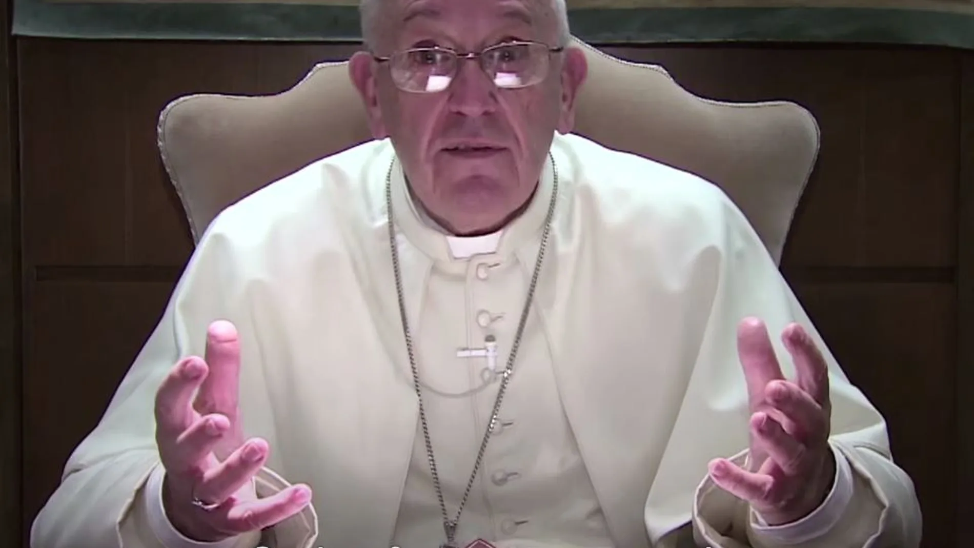 El Papa aborda el respeto a la Creación en su vídeo de este mes