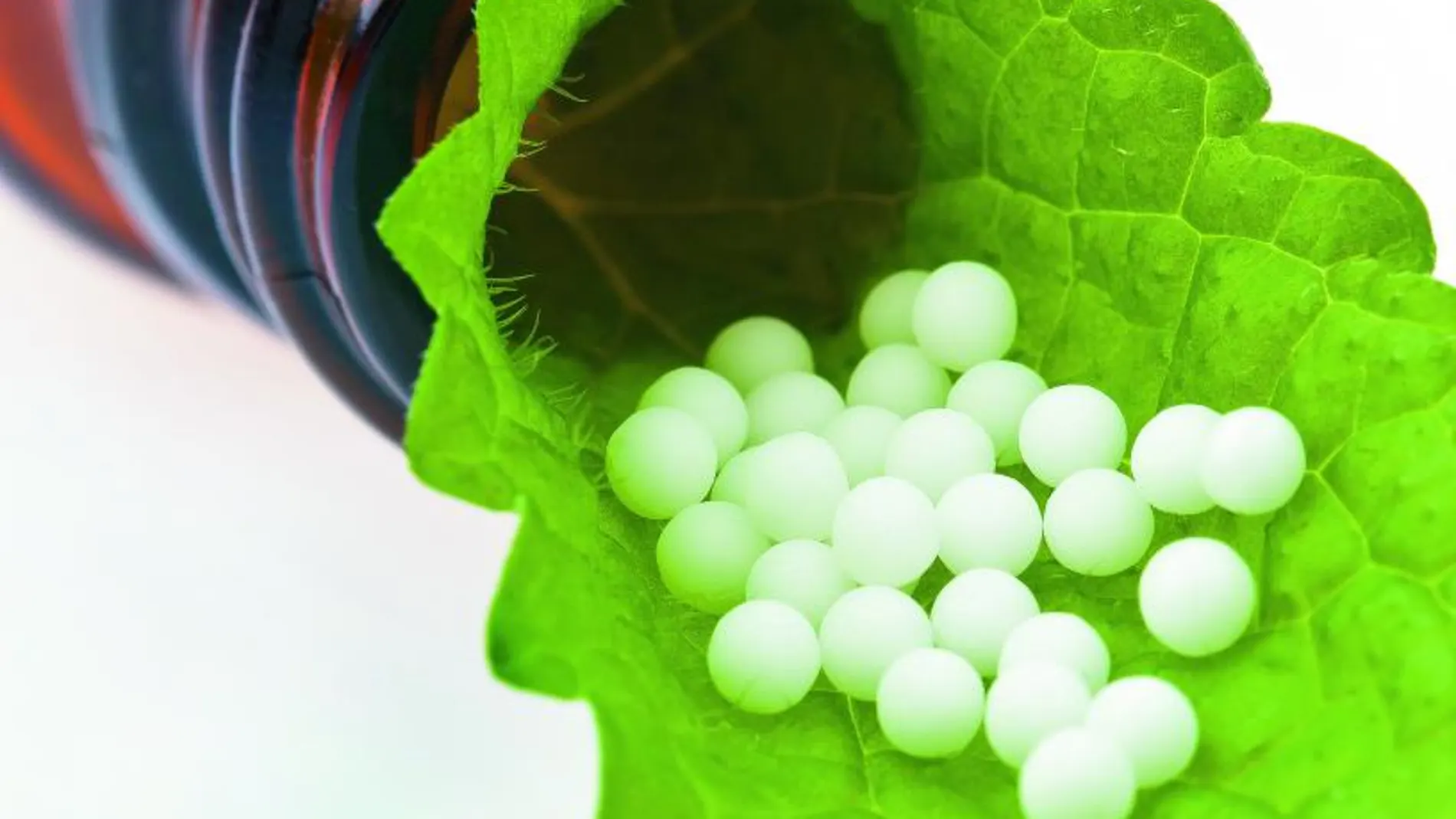 Homeopatía: Los profesionales médicos alertan de su ineficacia