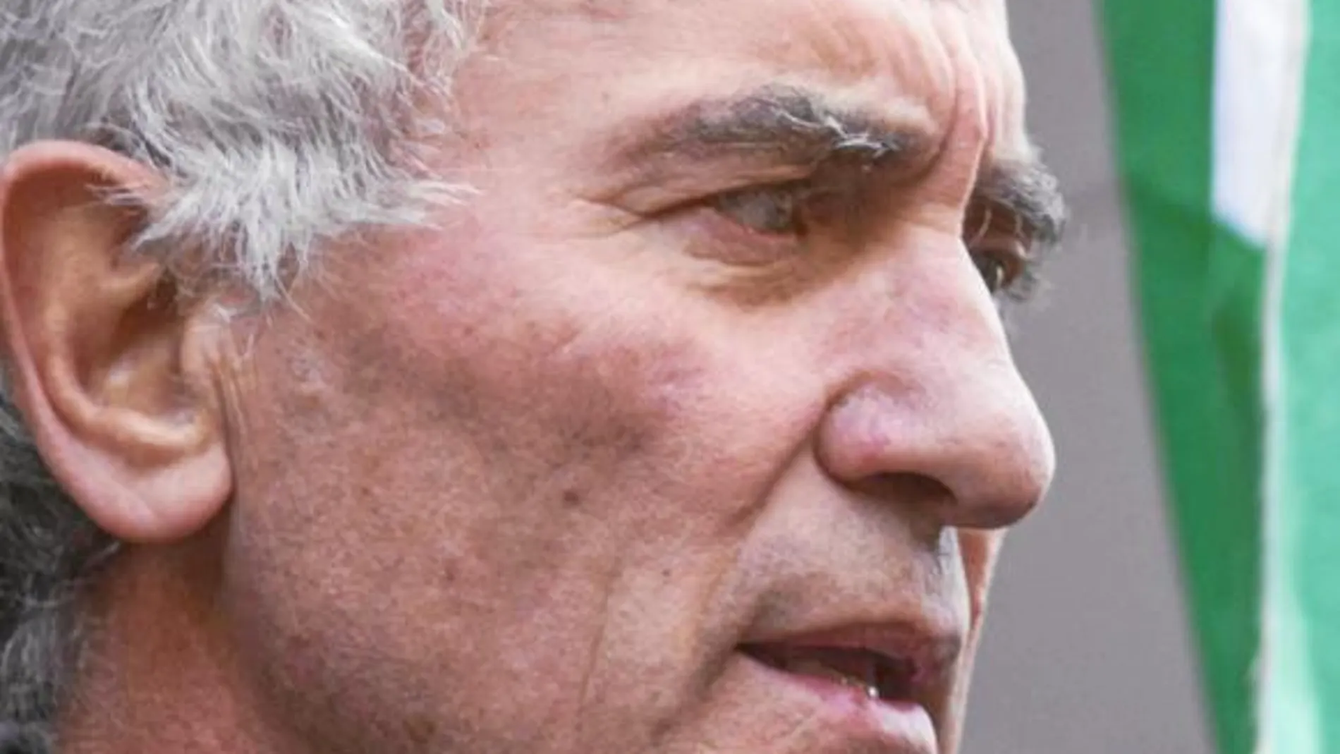 Diego Cañamero