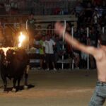 Festejo del bou embolat, Valencia