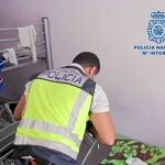 Los agentes de la Policía Nacional incautaron mucho material en la operación