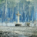 Cualedro. En este municipio orensano 3.000 hectáreas de superficie forestal se vieron afectadas por el incendio que asoló la zona