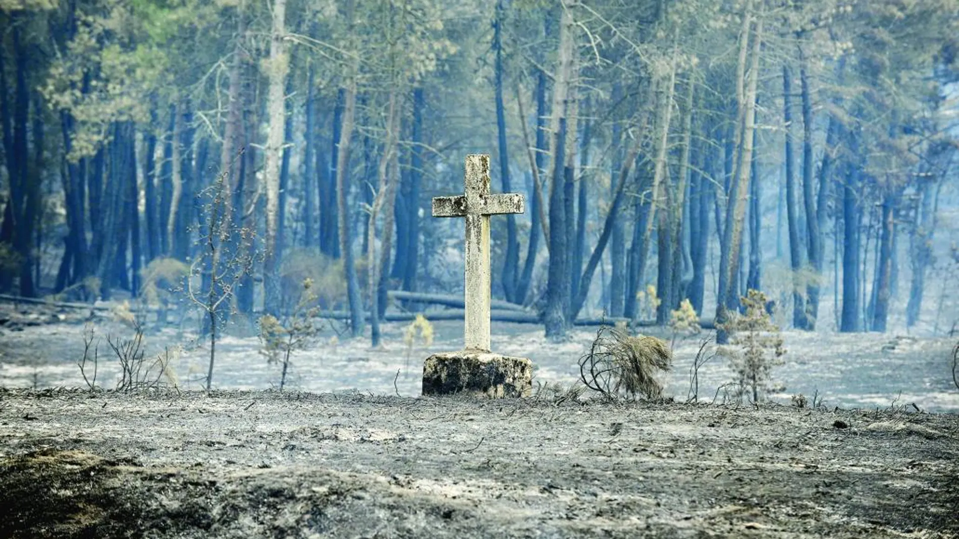 Cualedro. En este municipio orensano 3.000 hectáreas de superficie forestal se vieron afectadas por el incendio que asoló la zona