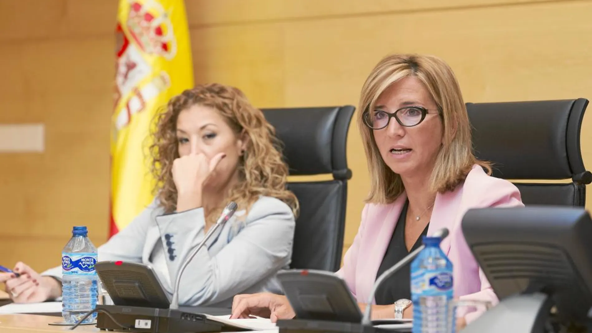 La consejera de Familia e Igualdad de Oportunidades, Alicia García, explica en las Cortes el programa de legislatura de su departamento