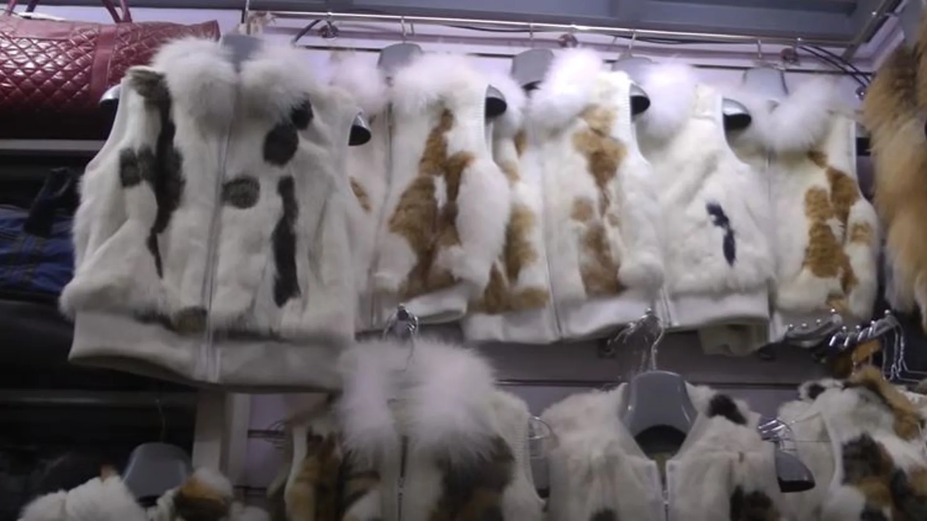 Chaquetas confeccionadas con piel de perro y de gato que se exponen en una tienda china