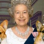 La reina Isabel II con sus perros