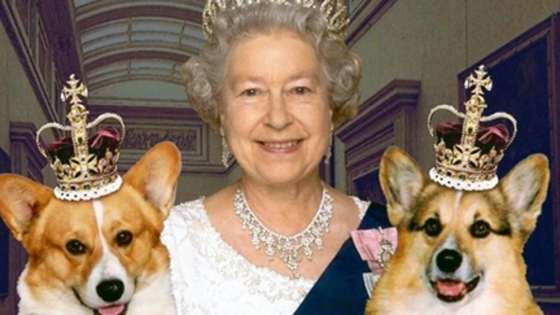 La reina Isabel II con sus perros