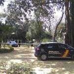 Efectivos de la Policía Nacional en la conocida como "Glorieta de Bécquer", en el Parque de María Luisa en Sevilla