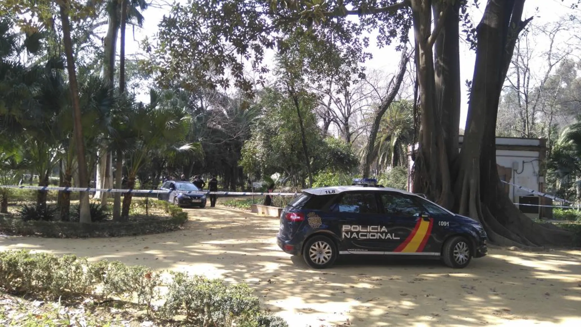 Efectivos de la Policía Nacional en la conocida como "Glorieta de Bécquer", en el Parque de María Luisa en Sevilla