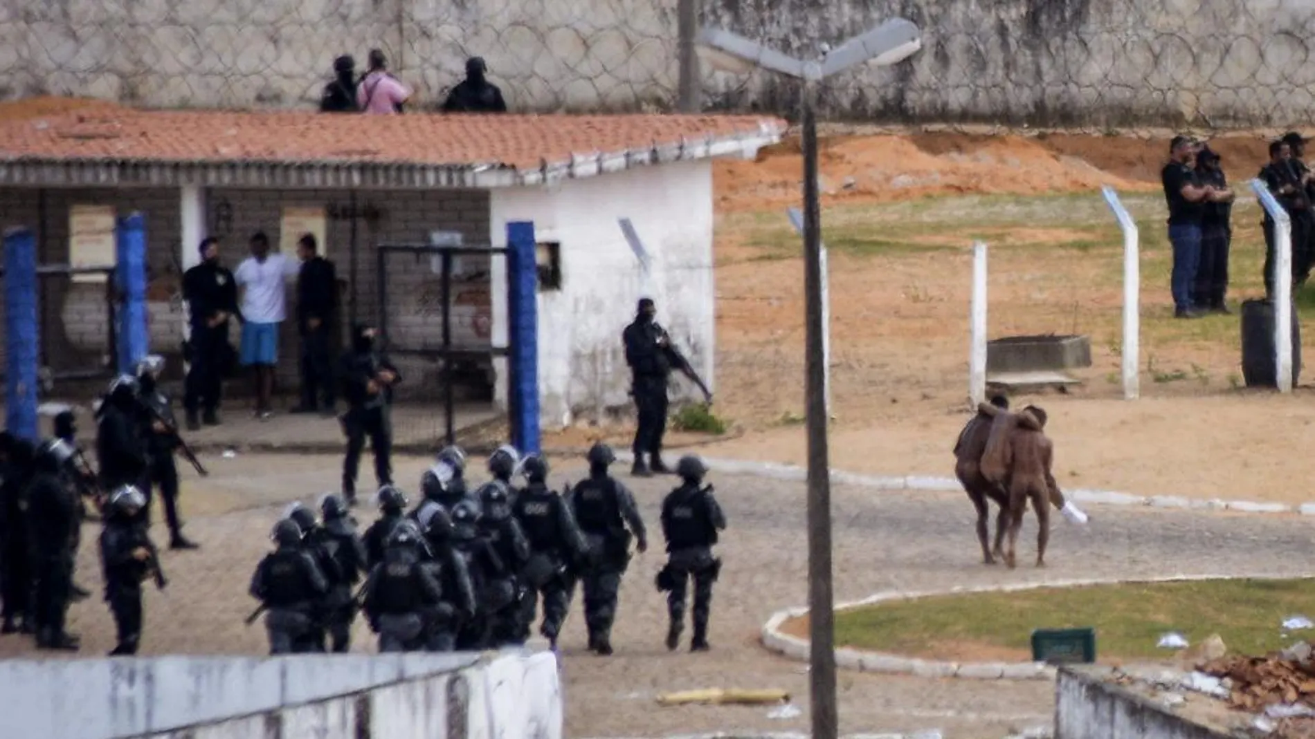 Dos presos ayudan otro reo herido durante una rebelión en la prisión de Alcaçuz