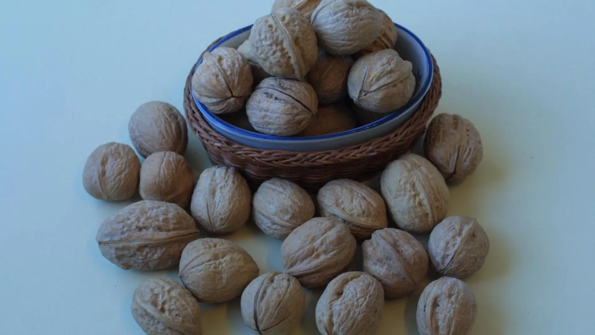 Nueces