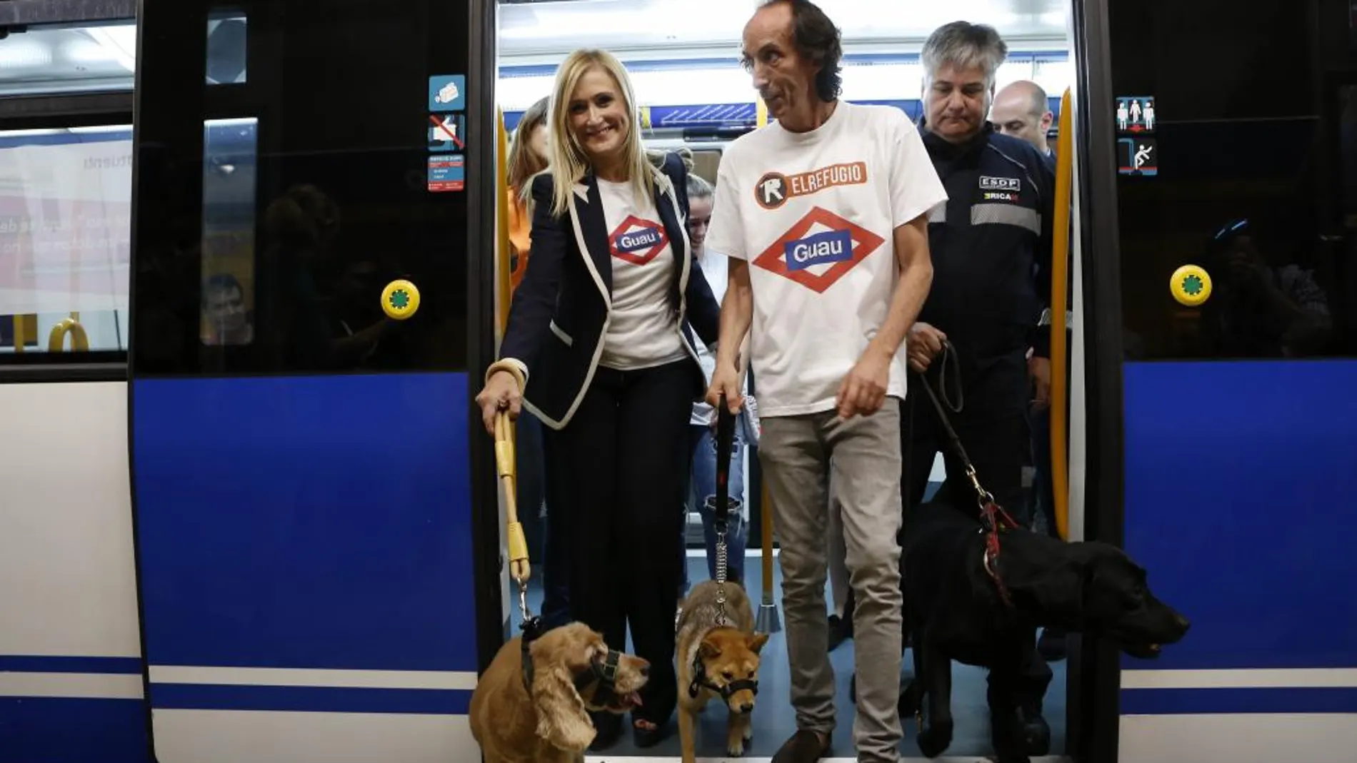 Qué normas deben seguir los perros y sus dueños para subir al Metro de  Madrid