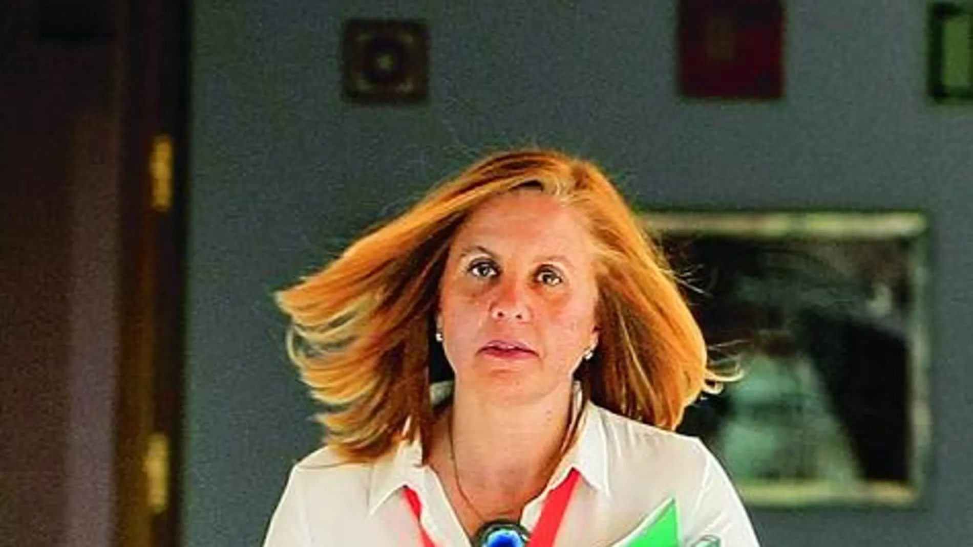 María Jesús Herrerias, directora general de Evaluación, Control y Calidad del SAE