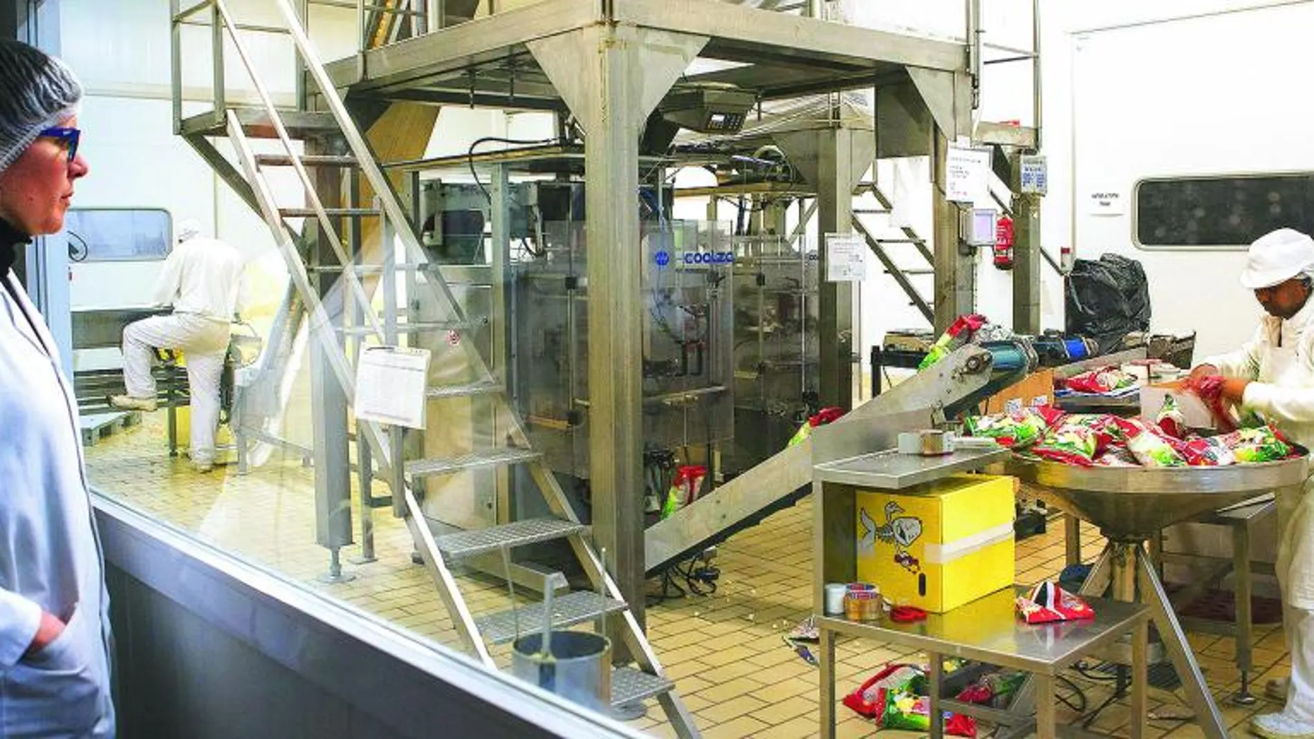 Fabricación de patatas fritas artesanas en la fábrica de Añavieja