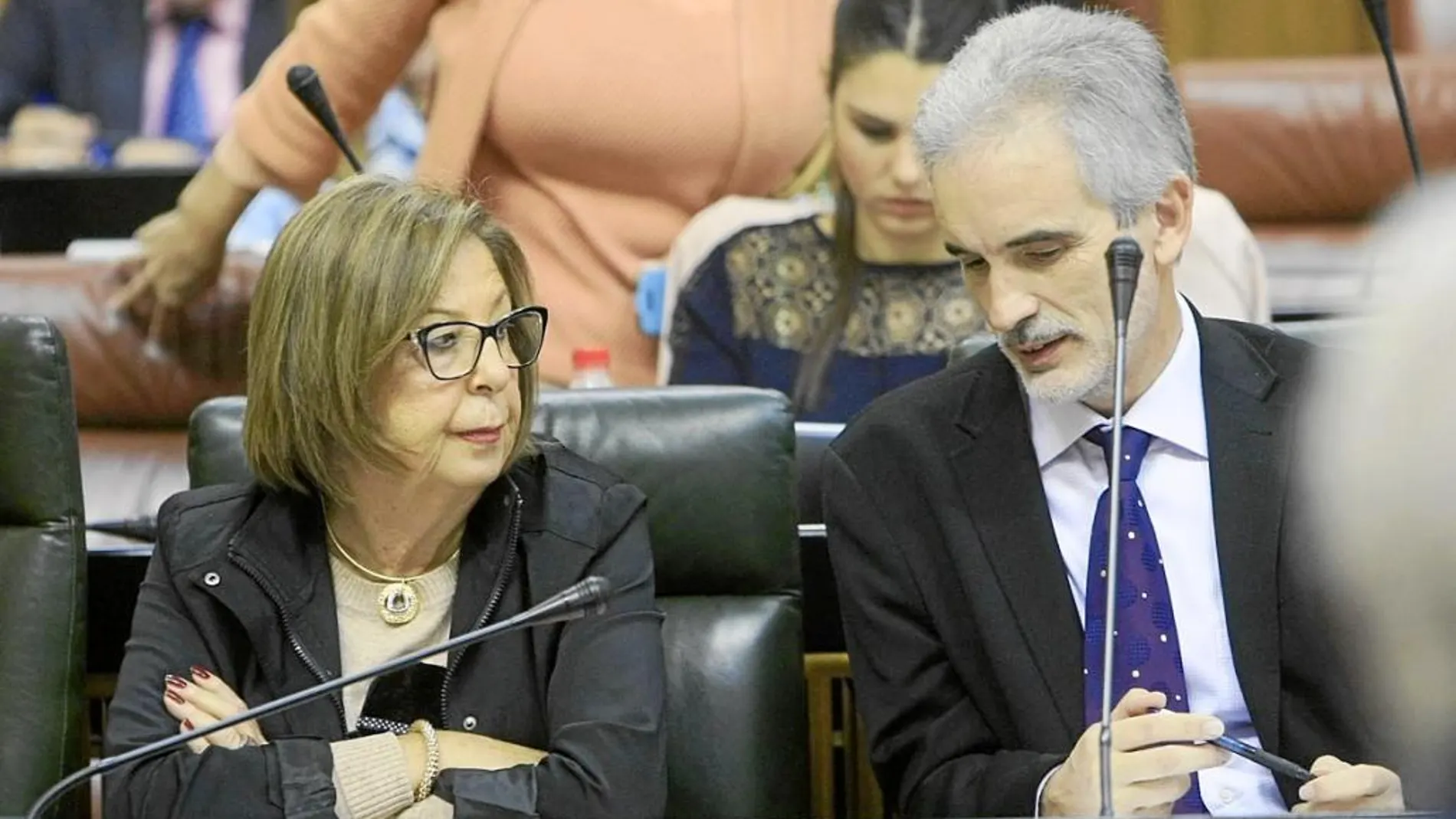 La consejera de Educación, Adelaida de la Calle, junto al de Salud, Aquilino Alonso, durante el Pleno del Parlamento