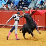 Saúl Jiménez Fortes se la jugó con el segundo de su lote