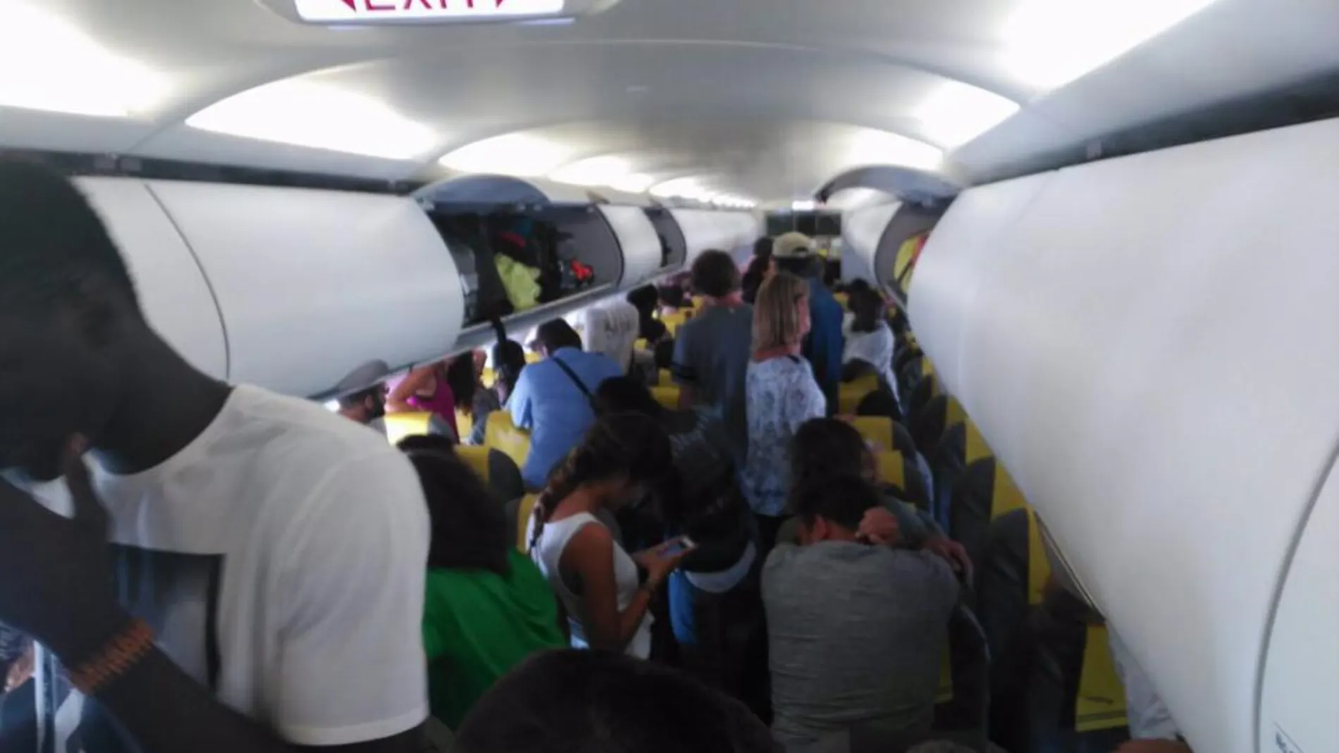 Interior del vuelo.