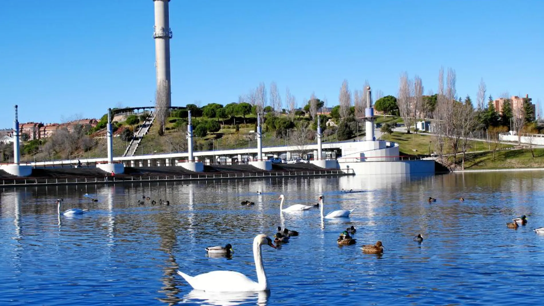 Cuenta con numerosas zonas de recreo y esparcimiento. Sobre estas líneas, la fuente de la avenida de Colmenar Viejo y el lago del Parque Central